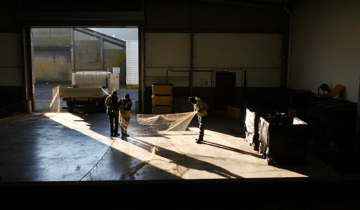 L’économie circulaire au service du réemploi
