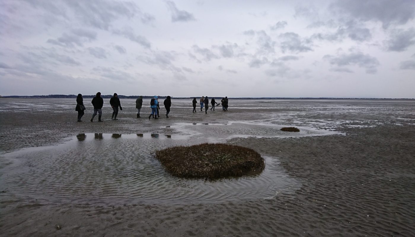 Ballade dans la baie