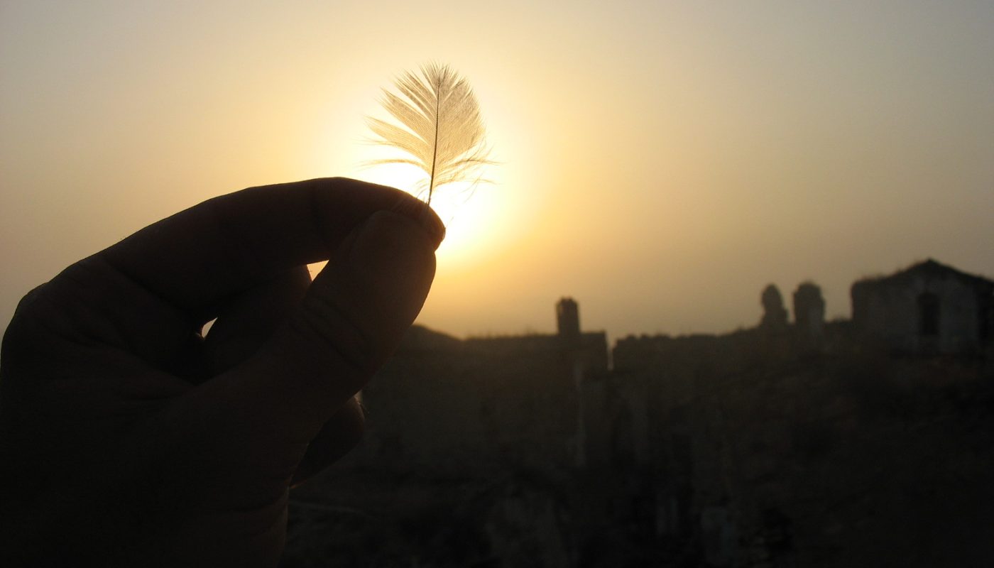 Photo divers basilicate 368