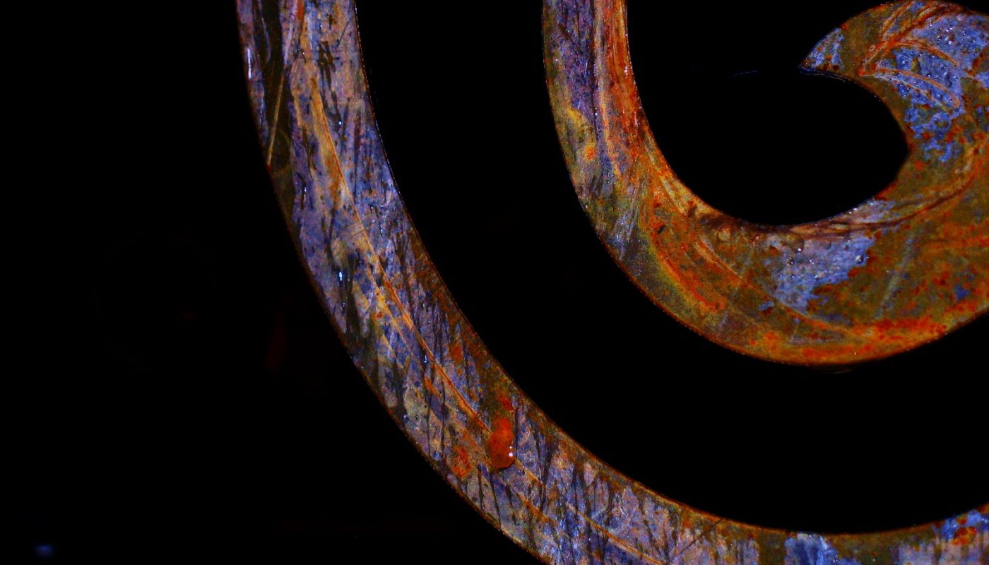 Photo divers basilicate 451