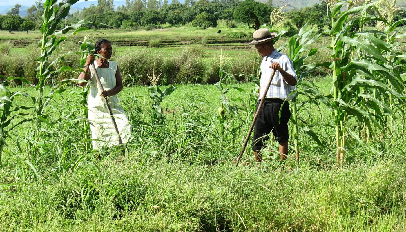 Photo madagascar 171